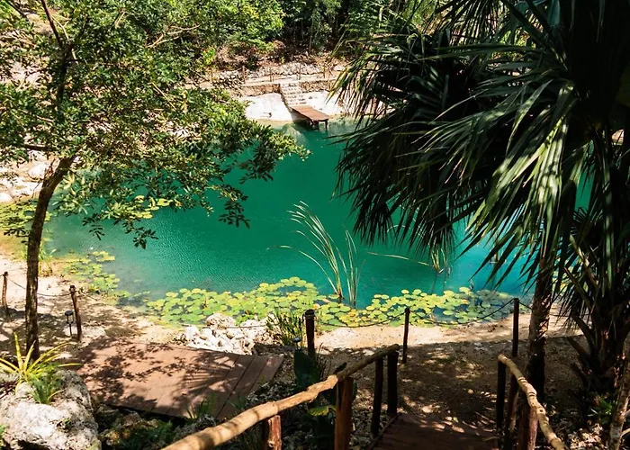 Cenote Escondido Y * Playa del Carmen